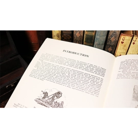 The Lilliputians by Will Ayling - Book