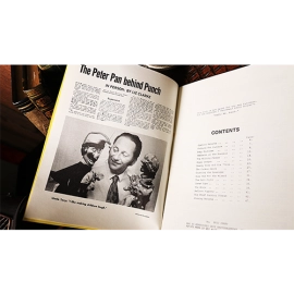 Professional Punch by Tony Green - Book