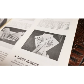 Stuntrix by Ken Scholes - Book