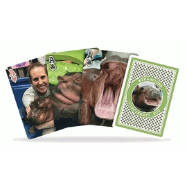Spielkarten Bicycle Fiona Playing Cards by US Playing Cards