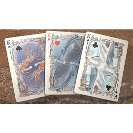 Spielkarten Sea Creatures Deck (Bicycle Colorized) Playing Cards