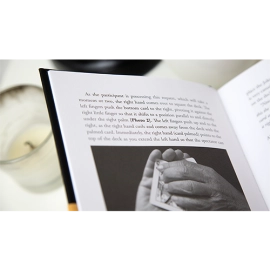 Artful Deceptions by Allan Zola Kronzek - Book