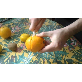 CITRUS: The Next Generation (C1) by Nourdine