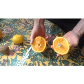 CITRUS: The Next Generation (C1) by Nourdine