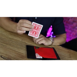 ID (DVD and Gimmicks) by Steve Cook and Alakazam Magic - DVD