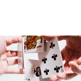 Spielkarten Superior Skull & Bones V2 (Red/Silver) Playing Cards by Expert Playing Card Co.