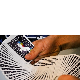 Spielkarten Bicycle Unicorn Playing Cards