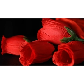 The Rose 2.0 (Red) by Bond Lee & Wenzi Magic