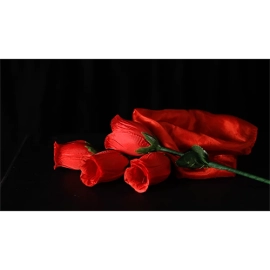 The Rose 2.0 (Red) by Bond Lee & Wenzi Magic