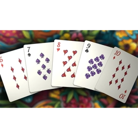 Spielkarten Masquerade: Mardi Gras Edition Playing Cards by Denyse Klette
