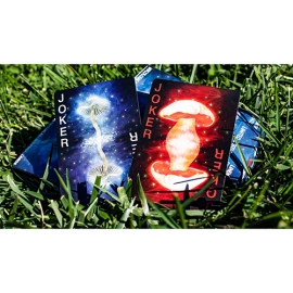 Spielkarten Limited Edition Fungi Mystic Mushrooms Mycological Playing Cards