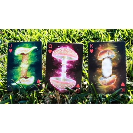 Spielkarten Limited Edition Fungi Mystic Mushrooms Mycological Playing Cards