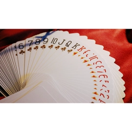Spielkarten Bicycle Limited Edition Bald Eagle Playing Cards (With Numbered Seals)