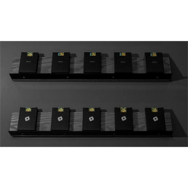Spielkarten Limited Edition Black Flora Playing Cards by Paul Robaia