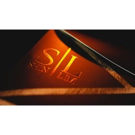 SERVANTE (Gimmicks and Online Instructions) by Shin Lim