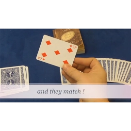 Houdini's Diary (Gimmick and Online Instructions) by Wayne Dobson and Alan Wong