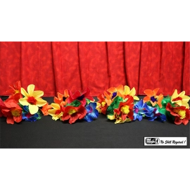Production Hank with Four Bouquets by Mr. Magic