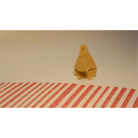 Tiny Bird (Gimmick and Online Instructions) by Hugo Choi