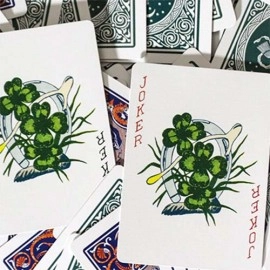 Spielkarten Limited Edition Ye Witches' Fortune Cards (2 Way Back Green Box)