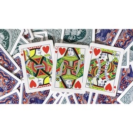 Spielkarten Limited Edition Ye Witches' Silver Gilded Fortune Cards (2 Way Back)(TEAL BOX)