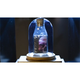 Memento Mori NXS Impossible Bottles by Stanley Yashayev