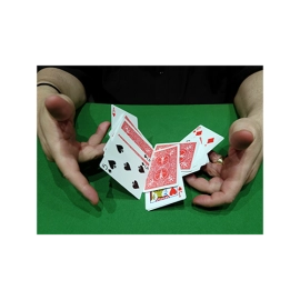 CIB: Cards In Bag (Gimmicks and Instructions) by Dominique Duvivier