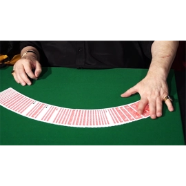 CIB: Cards In Bag (Gimmicks and Instructions) by Dominique Duvivier
