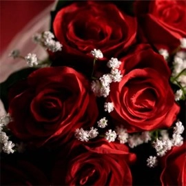 The Bouquet (Red) by Bond Lee & MS Magic