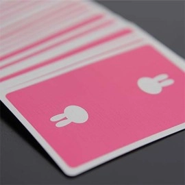 Spielkarten Surprise Deck Playing cards