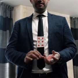 Pinned Card Reborn (Gimmicks and Online Instructions)  by Damien Vappereau and Magic Dream