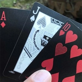 Spielkarten Bee Silver Stinger Playing Cards by USPCC