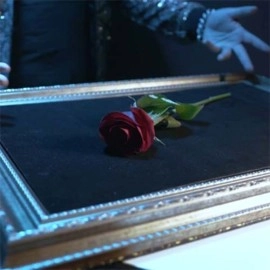 Visual Matrix AKA Rose Act Valorous Silver (Gimmick and Online Instructions) by Will Tsai and SansMinds