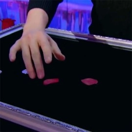 Visual Matrix AKA Rose Act Valorous Silver (Gimmick and Online Instructions) by Will Tsai and SansMinds