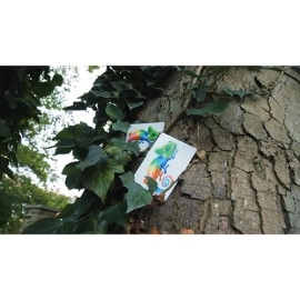 Camouflage (Gimmicks and Online Instructions) by Keith Porter