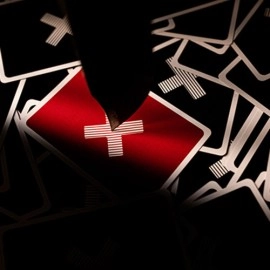 Spielkarten DTMC (Red) Playing Cards