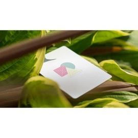 Spielkarten Aedijux Playing Cards