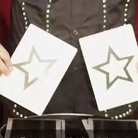 Marked Jumbo ESP Cards (Black) by Tejinaya Magic