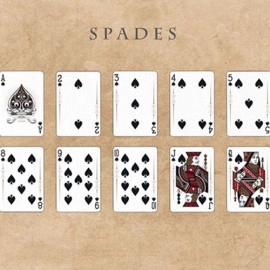 Aphelion™ Playing Cards - Black Edition Playing Cards