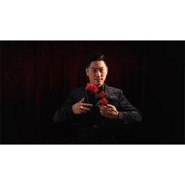 Y-Rose 2.0 by Mr. Y & Bond Lee