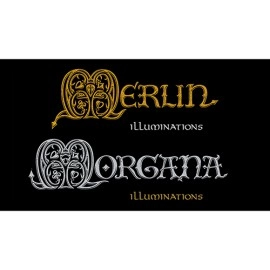 Spielkarten MORGANA Illuminations Playing Cards by Art Playing Cards