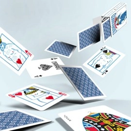 Spielkarten The Undressed Deck by Edi Rudo