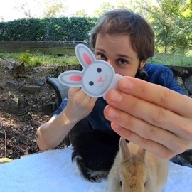 HIPP HOPP RABBIT (2pk) by Rocco & Shaun Jay