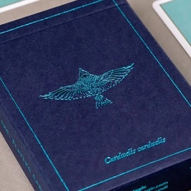 Spielkarten Feather Deck: Goldfinch Edition (Teal) by Joshua Jay