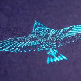 Spielkarten Feather Deck: Goldfinch Edition (Teal) by Joshua Jay