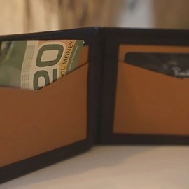 Chameleon Skin Wallet by Jim Steinmeyer