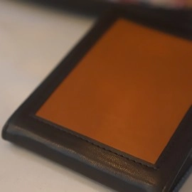 Chameleon Skin Wallet by Jim Steinmeyer