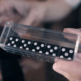 Sonic Dice (With Online Instructions) by Hanson Chien