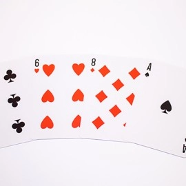 Spielkarten Cactus (Dusty Blue) Playing Cards