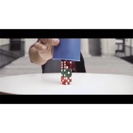 How to Cheat at Dice Gray Raw Cup (Props and Online Instructions)  by Zonte and SansMinds