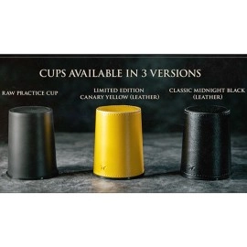 How to Cheat at Dice Gray Raw Cup (Props and Online Instructions)  by Zonte and SansMinds